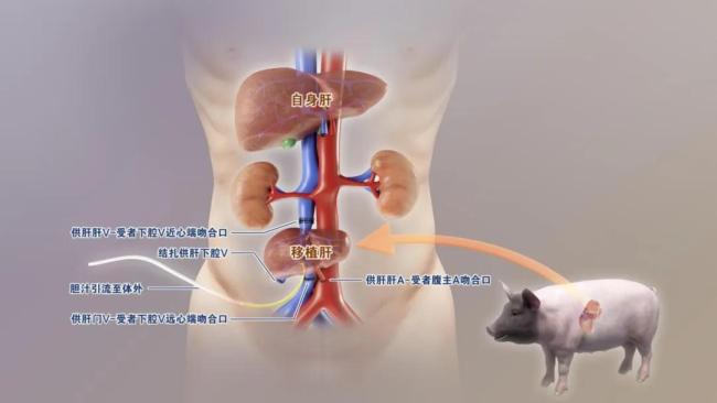 中国科学十大进展