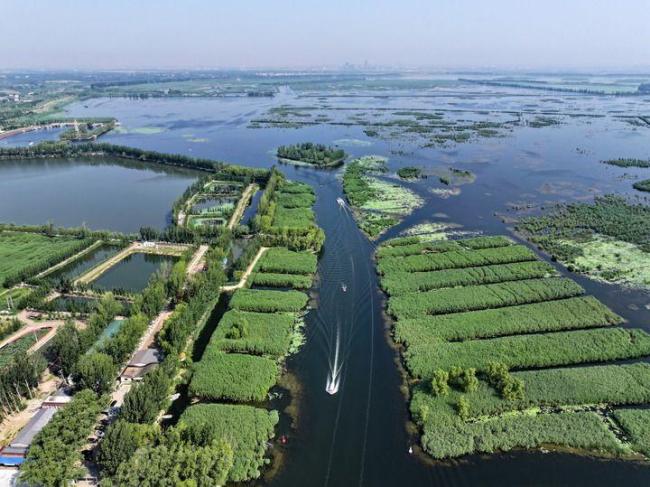 雄安不断扩大“国际朋友圈” 吸引全球目光