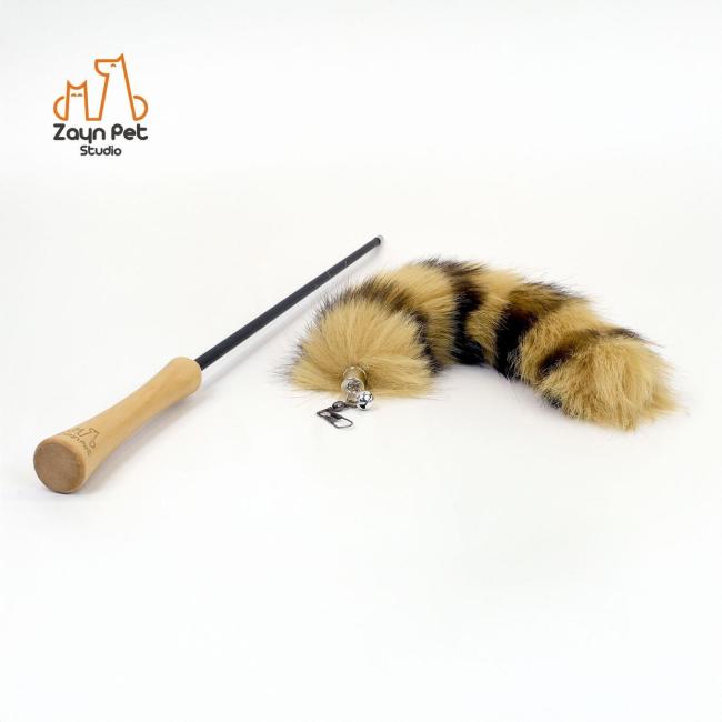 小猫第一次见这么大的逗猫棒 租房族互动新选择