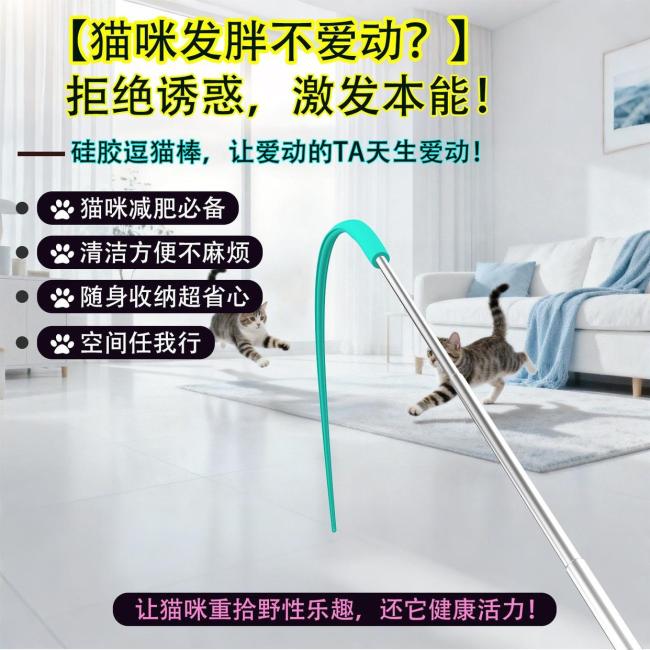 小猫第一次见这么大的逗猫棒 租房族互动新选择