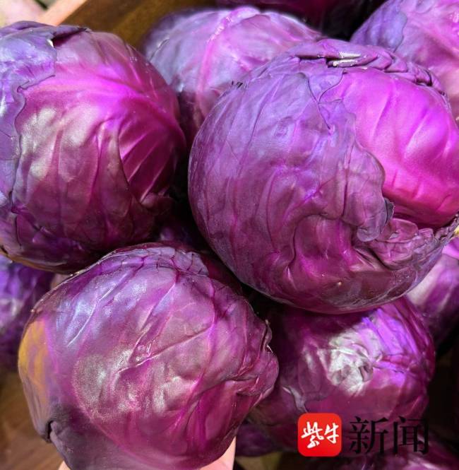 紫甘蓝或成心梗治疗“黑马”