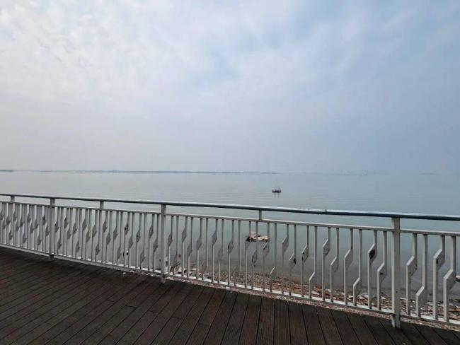 男子招募12位“岛主”共建民宿 共享模式吸引多元背景参与者