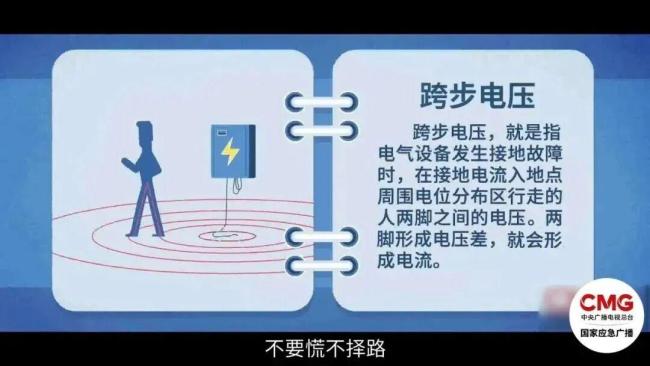 开车压到它 千万别急着下车查看 误碰掉落电线如何避险