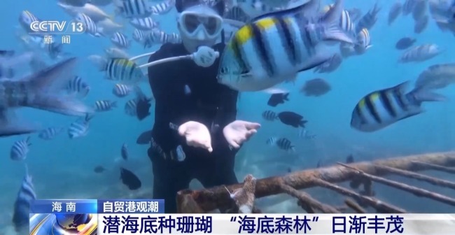 雨林探“花园” 来感受海南的“绿色脉搏”