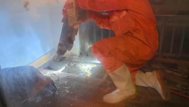 女子求助消防摘除蜂巢 两年困扰终得解