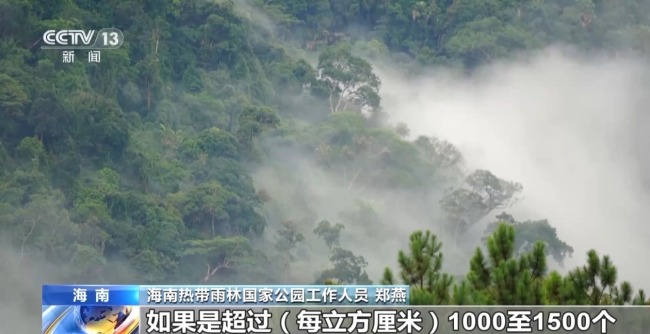 雨林探“花园” 来感受海南的“绿色脉搏”