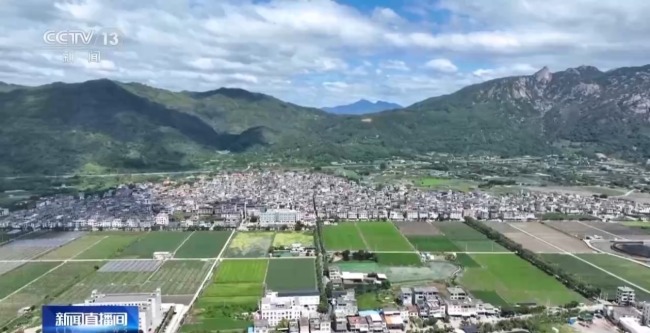 福建推广工厂化育苗提升育秧效率