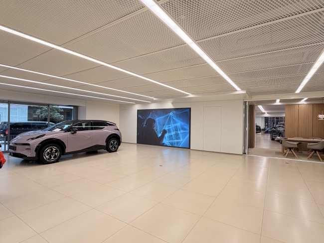 香港居民疯抢国产电动车 补贴政策促销量激增