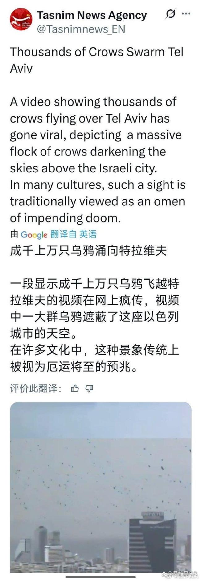 以色列特拉维夫上空现大量乌鸦 自然奇观引发热议