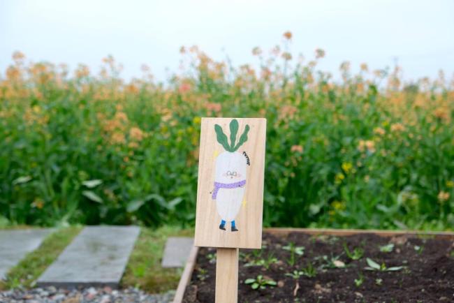 共享菜园火了 都市农夫种菜忙 亲子体验田园乐趣