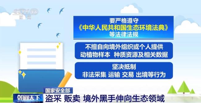盗采 贩卖！境外黑手伸向生态领域 威胁国家生态安全根基