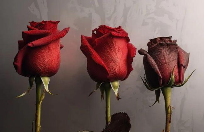 气血不通人会变“丑”