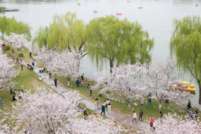 全体员工享受三天带薪春假：共享春天美好时光