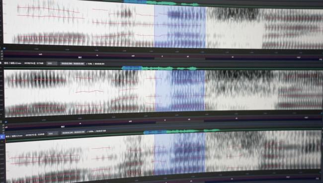 接陌生电话别先出声 骗子可采集声音