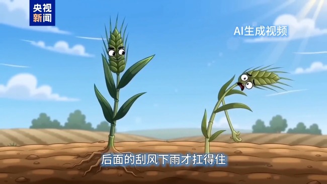 小麦也“撸上铁”了 田间控旺保丰收