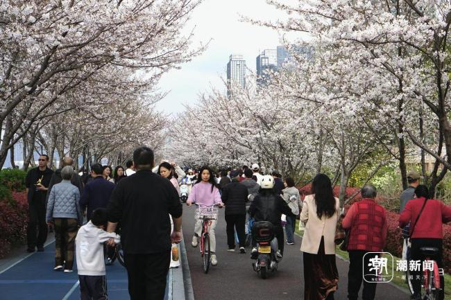 浙江大范围强对流天气即将登场