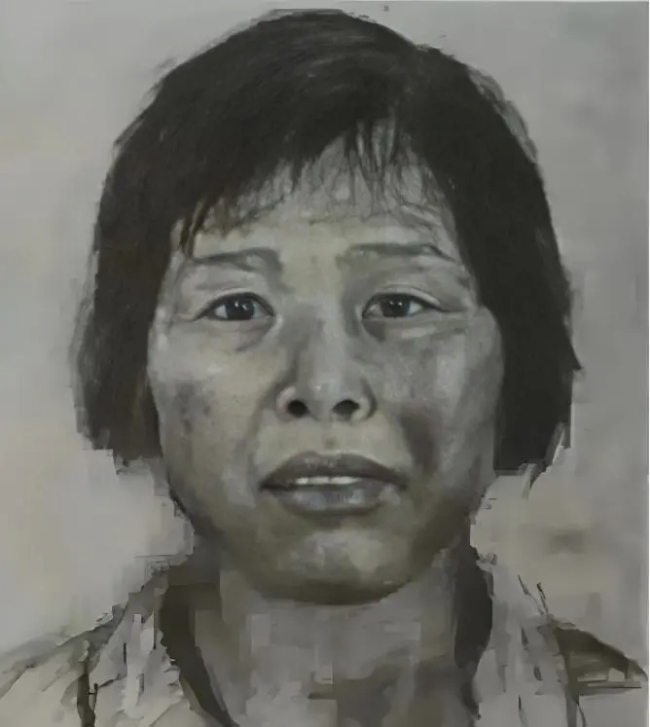 人贩子“梅姨”曾藏身小学对面