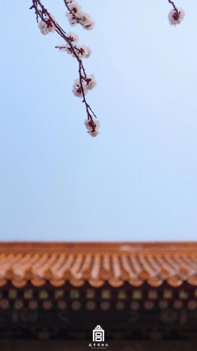 故宮春日壁紙，上新了！