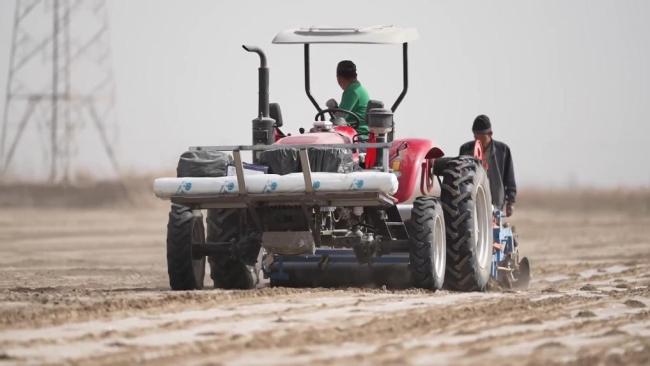 春耕一线扫描:精准施策 向新提质