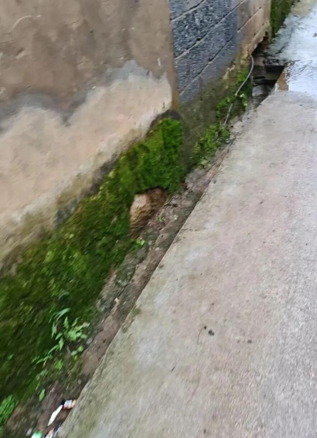 男生杀害女同学后照常上山采蘑菇 案件即将开庭审理