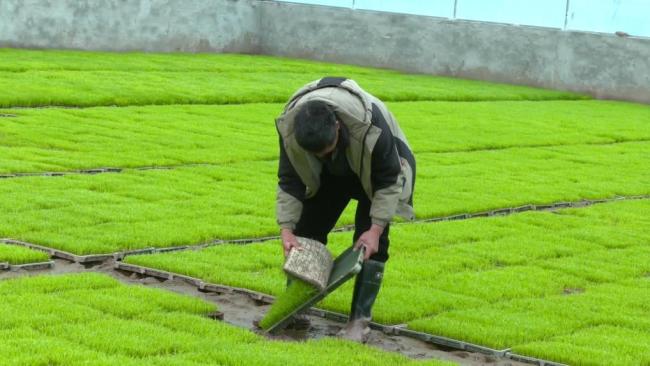 春耕一线扫描:精准施策 向新提质