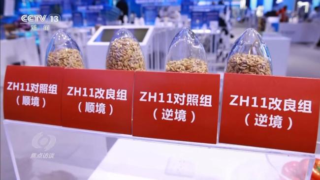 畅想我们的科技生活 6G与人工智能引领未来