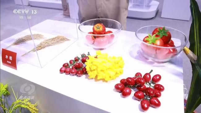 畅想我们的科技生活 6G与人工智能引领未来