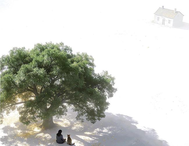 生病了无人签字 有钱难救命