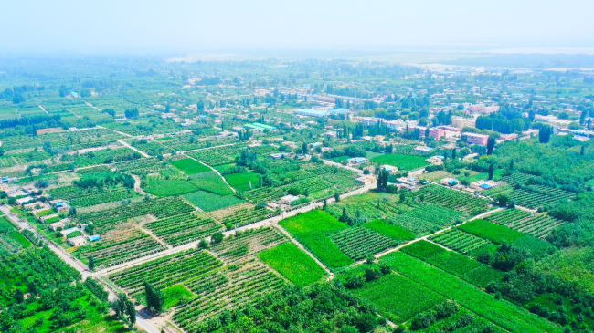 大漠明珠放异彩——新疆维吾尔自治区和田县高质量发展纪实