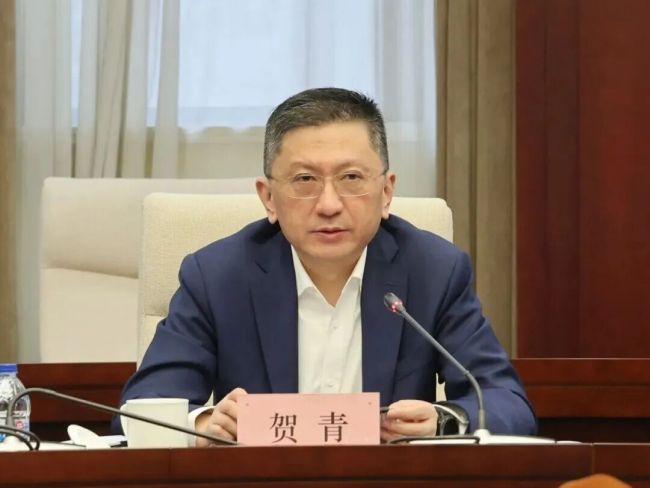 贺青升任上海市副市长