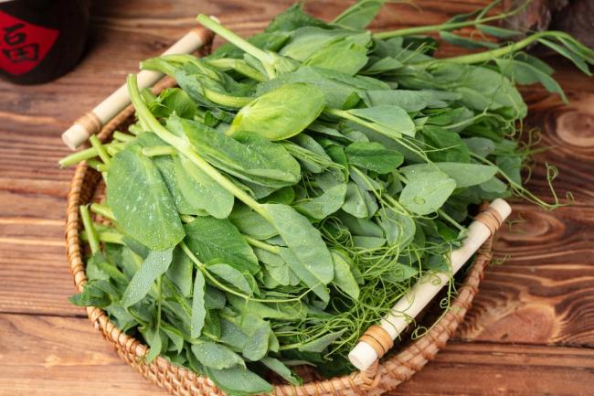 中文字幕无码一区二区免费