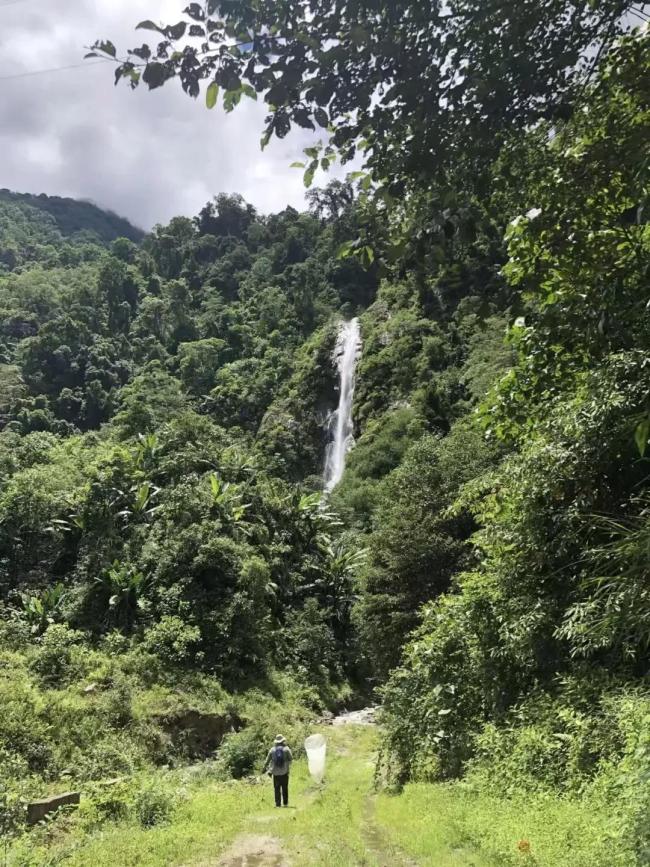 中国科研人员发现99个新物种