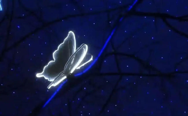 南京网红打卡点上新 星空蝴蝶树浪漫夜景