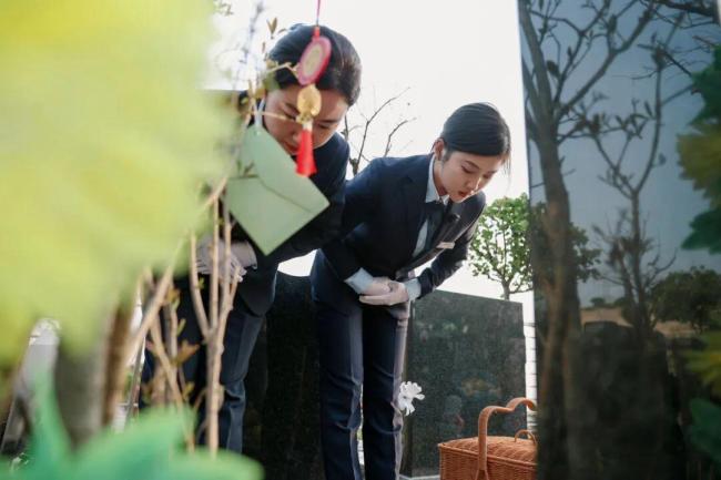 女孩留学后当职业扫墓人：每天鞠躬上百次，用心传递思念