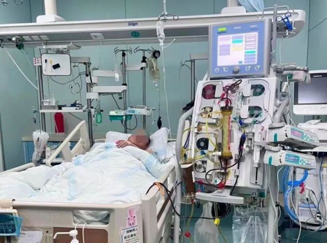 男子吃毒蘑菇王换血抢回一条命 警惕野生蘑菇误区