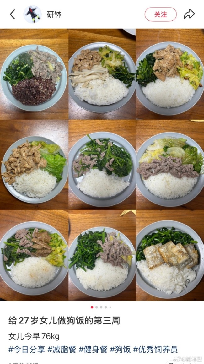 减脂餐被误以为成狗饭了 