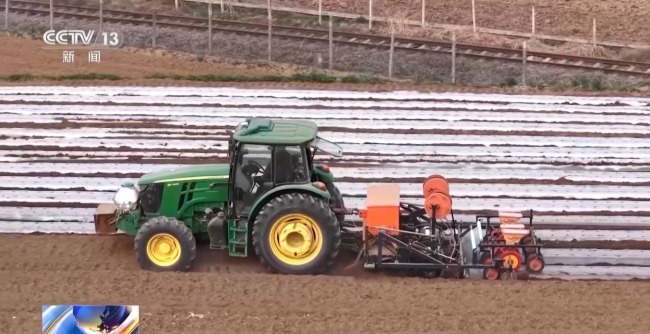 春天里的中国正上演“耕耘绽放”双重奏