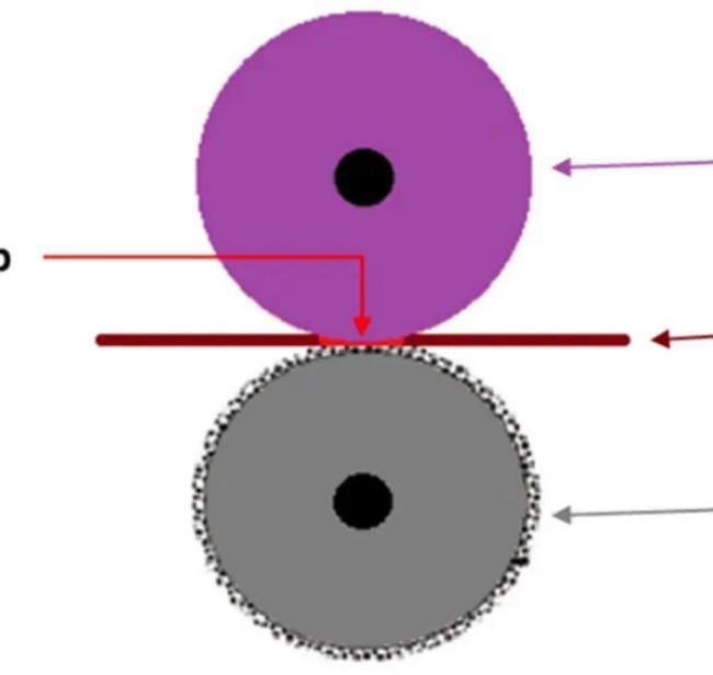 为什么卫生纸非要压花 提升固定与吸水性能
