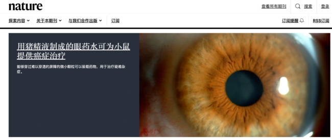 科学家用猪精液制成抗癌眼药水 创新疗法引关注