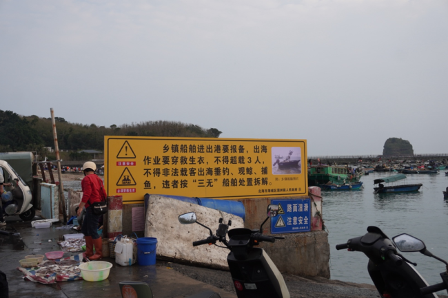 涠洲岛20余艘观鲸船围堵鲸鱼 人类追逐与围观的反思