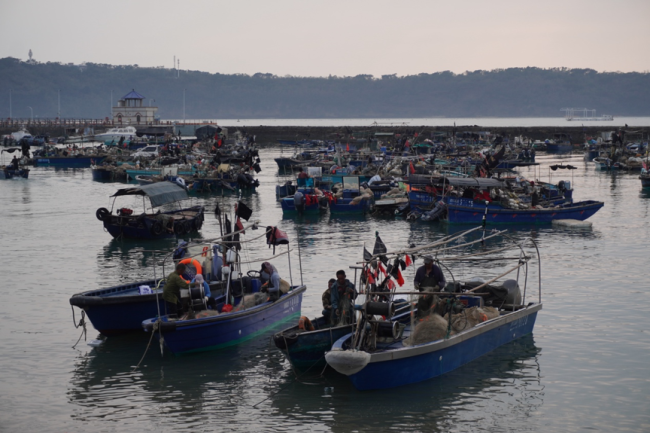 涠洲岛20余艘观鲸船围堵鲸鱼 人类追逐与围观的反思