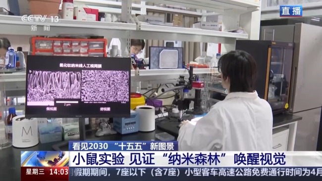 脑机接口加速落地 拓展多元应用新场景