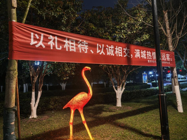 “按猪摇人”走红，重庆女孩“呆呆”：不想带货赚钱 小山村期待蜕变