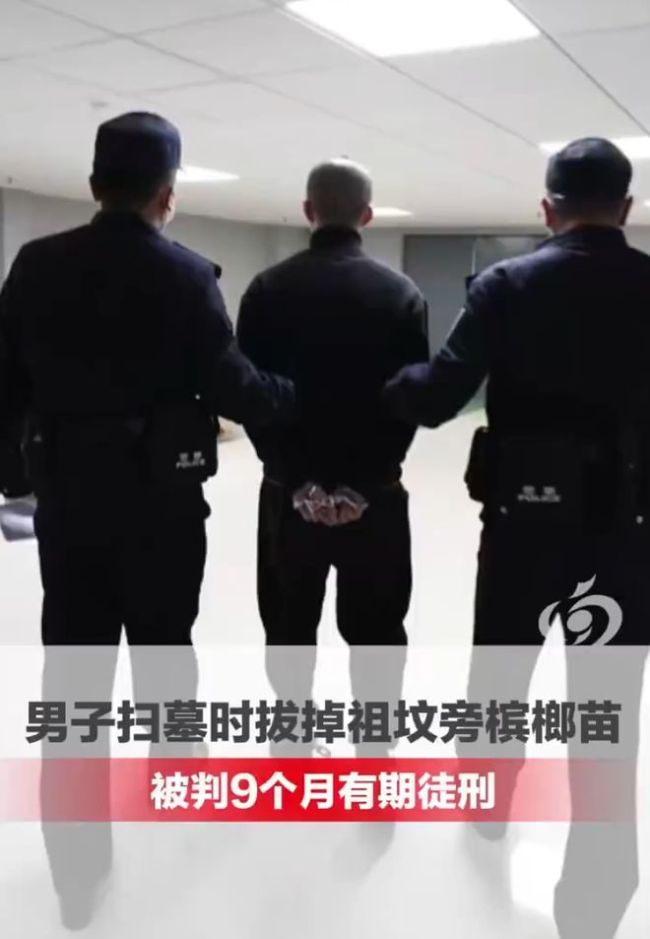 祖坟旁被种满槟榔苗男子拔除后获刑