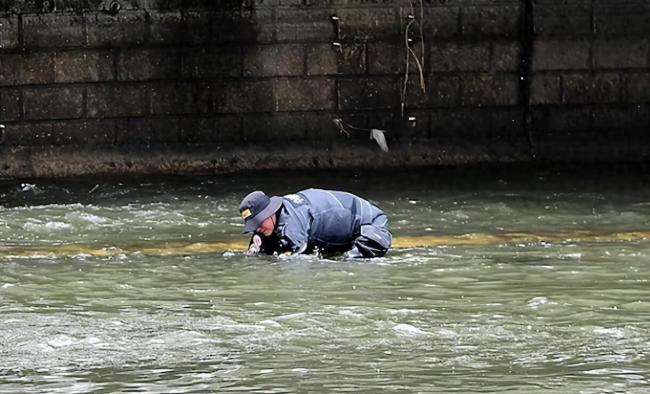 韩国行李箱藏尸案系女婿作案