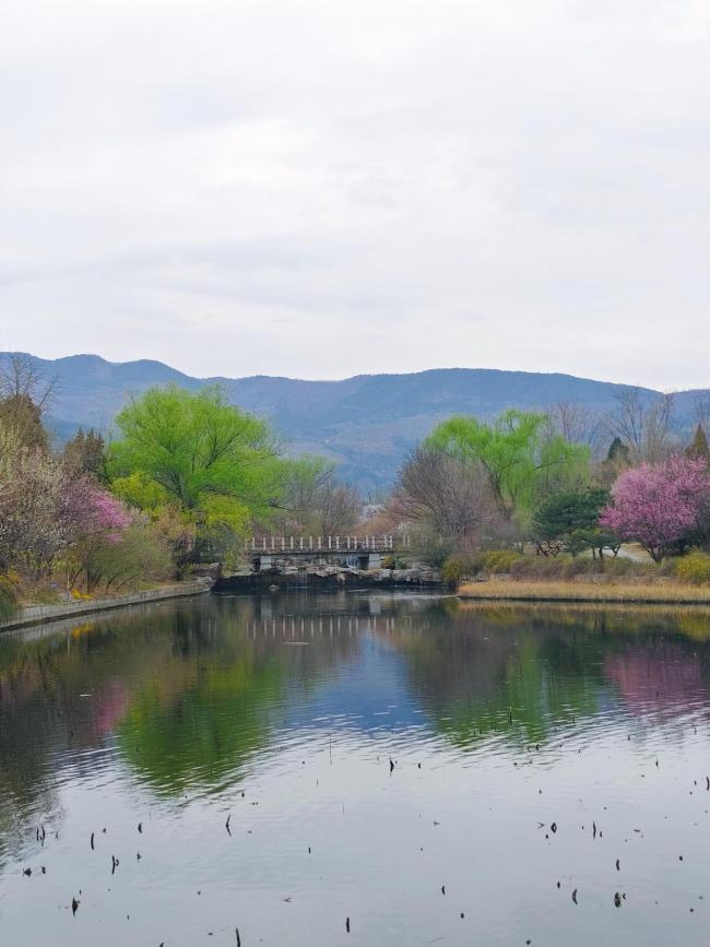 今天北京真好看 春色浓郁繁花似锦