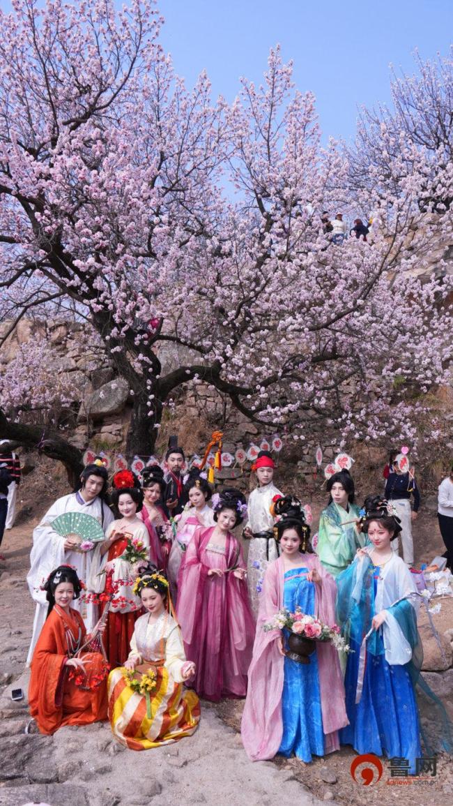 从一朵花看见春日经济活力