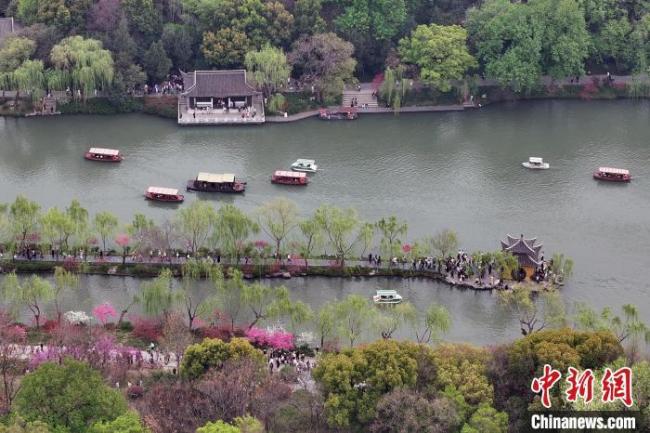 清明也分“早晚”?专家回应