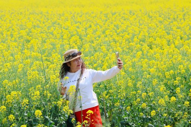 清明假期新业态解锁新体验 赏花经济引领潮流
