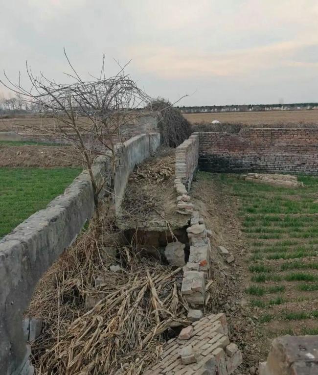 1年上30多座坟 年轻人为何爱上扫墓 跨越时空的会面